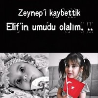 Murat Ekici