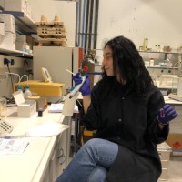 Eirini Athanasiadou