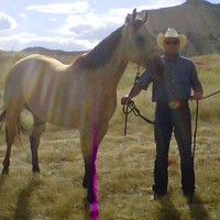 Jeff Hallwachs