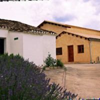 BODEGAS PROEXA PROEXA