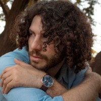 Francesco Vicentini Orgnani