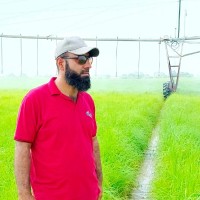 Zain Ul Abidin