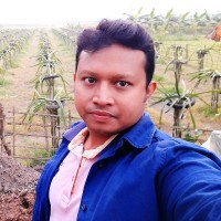 Shohel Mahabub