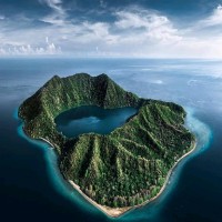 杨世腾