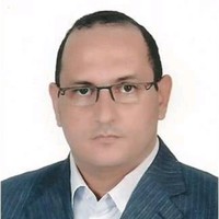 Alaa Elfeky