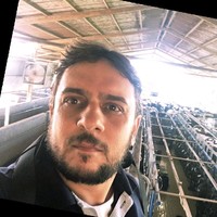 CELSO JOSÉ GEDVILA