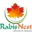 Rabis Nest