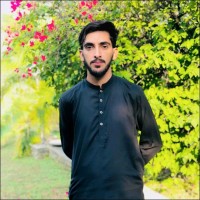Waleed Shahzad