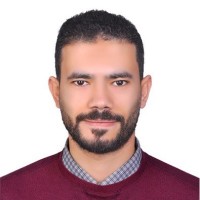 Ali Bayoumi