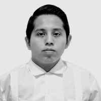 Carlos Martín Castillejos Córdova