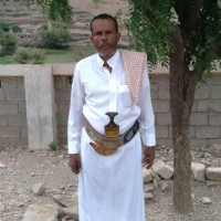 سهيل الحجيرات.