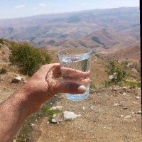 Ali Okci