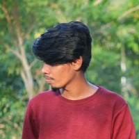 Loganathan S