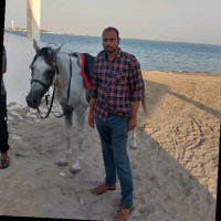 Rajeesh P V