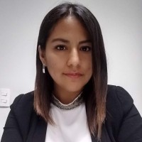 Vanessa M Flores Fuentes