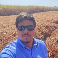 Wasllan Junior