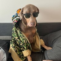 Mario Andres Iturrino Garcia, M.S, MBA