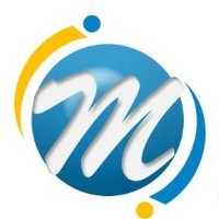 LION MESPROSOFT