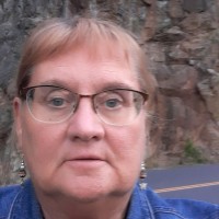 Carol Schwemin