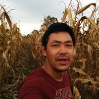 Hieu Nguyen