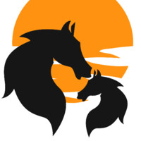 Adhwaitha Web Consultancy Services