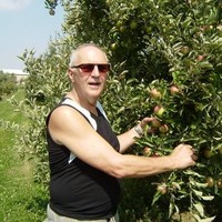 Dries Voorintholt