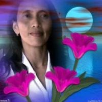 noralyn david