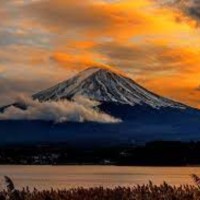 Muhammad Omer Mohsin