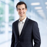 David Niehaus, Cfa