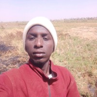 Abdulhakim Usman
