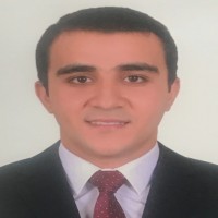Ahmed Hesham El-Mahdy