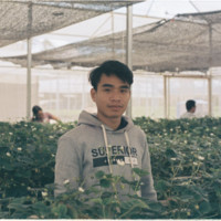 Trí Nguyễn Lê