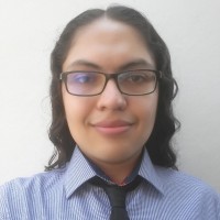 Armando Elizalde Santillán