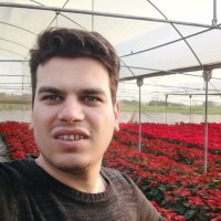 Mahmoud Shaaban