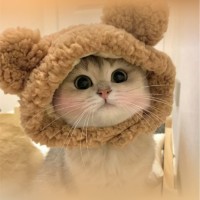 窦成伟