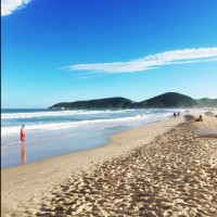 Paulo Fernando Viega Pittaluga