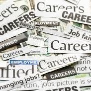 Job Consultant