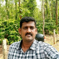 Vignesh Raja