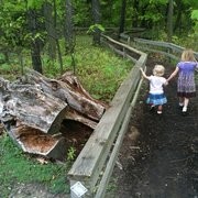 Phil Pustejovsky Reviews