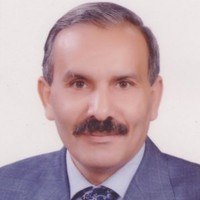 Magdy Abdel-sattar Elberry