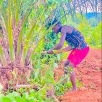 Guillaume Kolawolé KPOSSILANDE