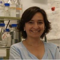Pamela Y. Sandoval