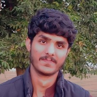 Muhammad Shahzaib U.