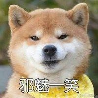 田晨宇