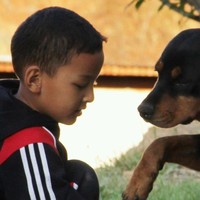 Thinley Tenzin