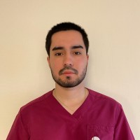 Martín Herrera Cantillana