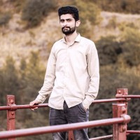 Raja Hamza