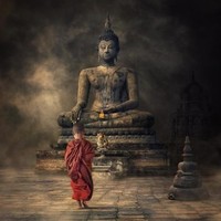 杨亚辉