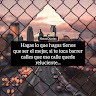 Cynthia Campos