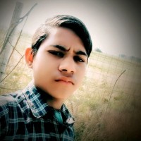 Vinod Kumar Meena Mukesh Meena